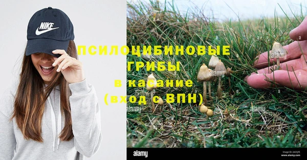 гашиш Заводоуковск