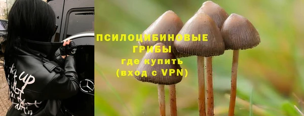 гашиш Заводоуковск