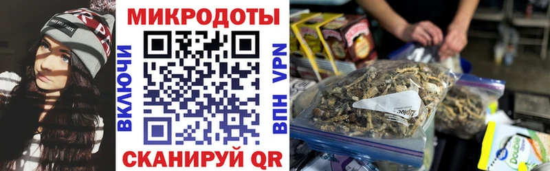 магазин продажи наркотиков  Ростов  Псилоцибиновые грибы мицелий 